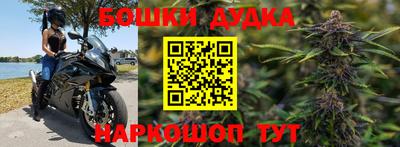 МДПВ Гагарин